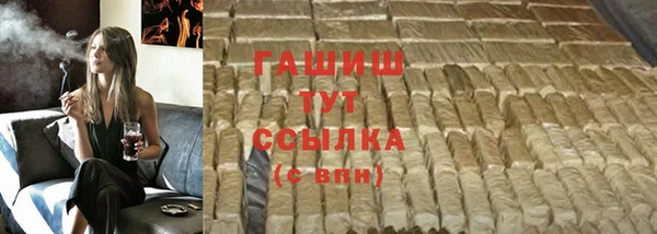 гидра Новозыбков