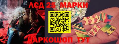 мяу мяу мука Гатчина