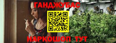 мяу мяу мука Гатчина