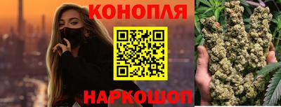 мяу мяу мука Гатчина
