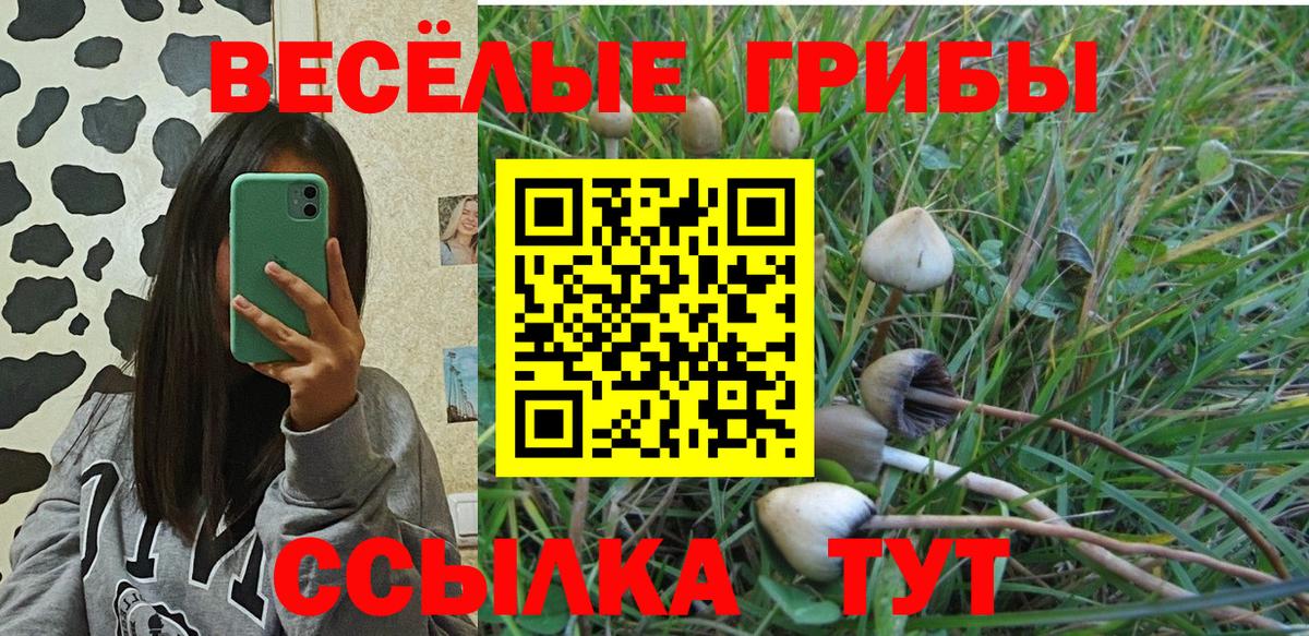 Юрга  Галлюциногенные грибы мицелий  Вход с VPN 