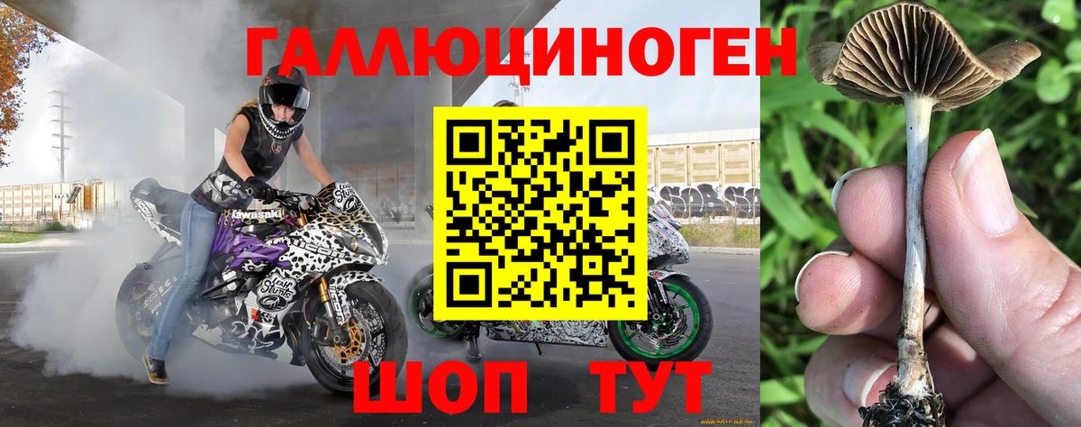 Псилоцибиновые грибы ЛСД Юрга